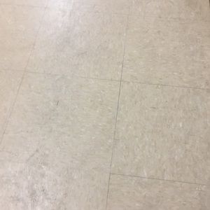 Meet your Posher, Clarissa